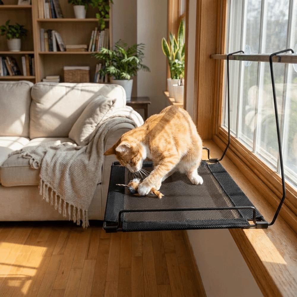 Stable Cat Window Hammock Folding Cat Sunbathing Bed Pet Nest Pet Window Perch Window Perch