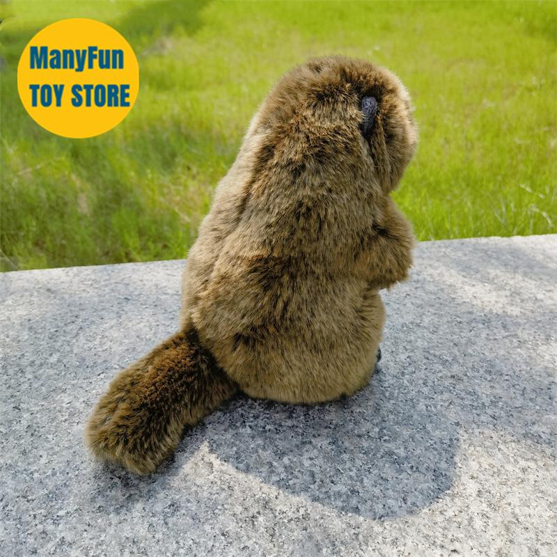 Плюшевая игрушка сурок, реалистичная мягкая игрушка мармот, реалистичный плюшевый бобр, кукла-симуляция лугового сурка в подарок