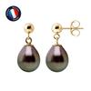 Earrings - - Comet - 8-9 Mm Tahitian Pearls - Yellow Gold - Woman