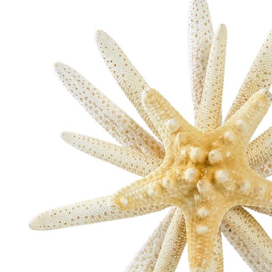 Starfish Tree Topper Beach Christmas Tree Topper Ocean Theme Treetop Ornament for Xmas Home Party Decor