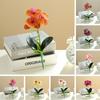 Useful Simulation Phalaenopsis Not Withered Luxury Decorate