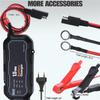 12V Intelligent Repair Lead-Acid Battery Charger for Car and Motorcycle