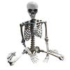 Halloween 70cm Skeleton Simulation Human Plastic Skeleton Haunted House Prop Skeleton Decoration