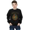 HARRY POTTER Boys Varsity Style Crest Sweatshirt