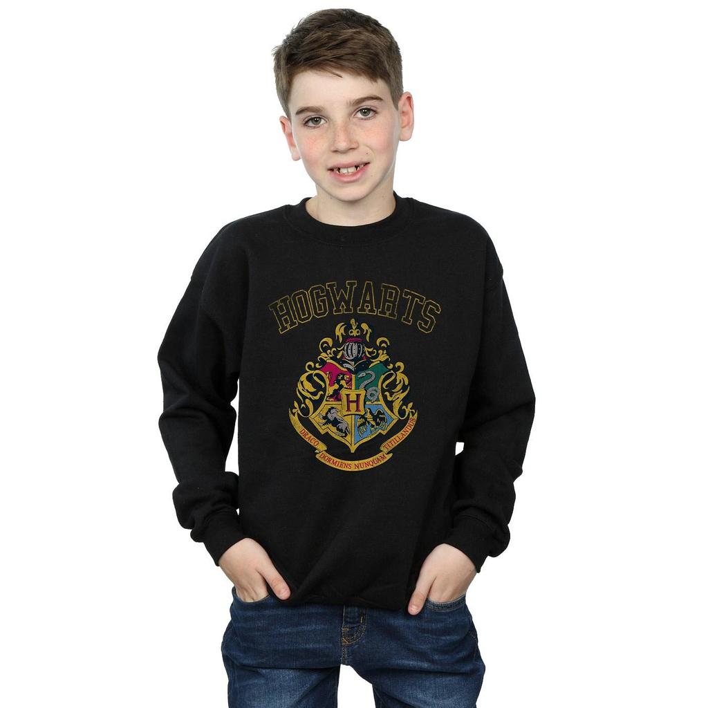 HARRY POTTER Boys Varsity Style Crest Sweatshirt