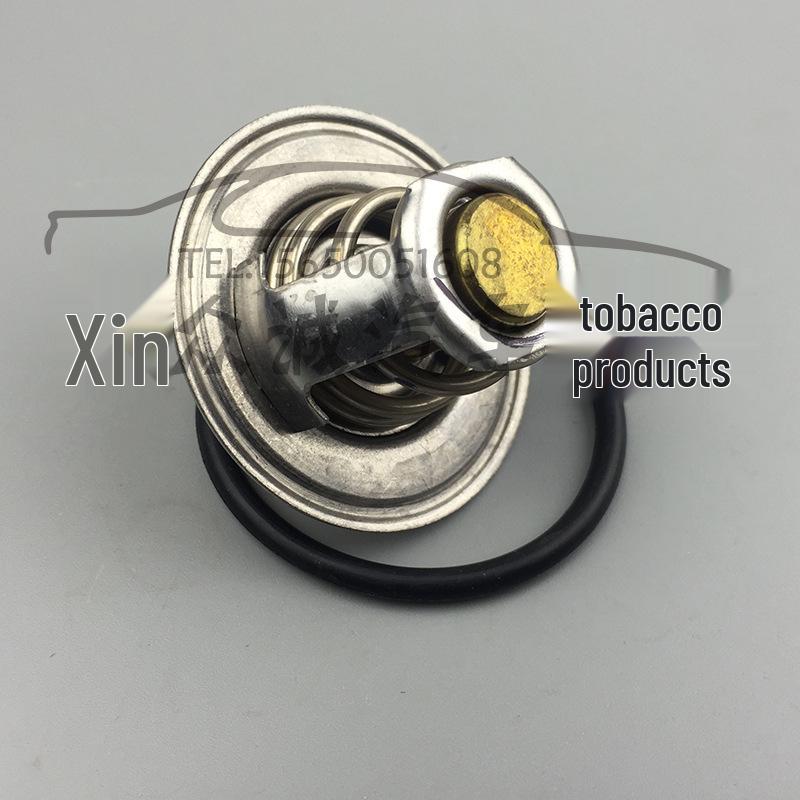 Volkswagen Jetta/Bora/Santana/Zhijun 2000 Car Thermostat 056121113D