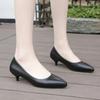 Fashion 2024 Spring and Fall Fashion Casual Comfort Shallow Mouth Women Pointed Heels