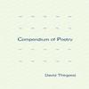 Compendium of Poetry by David Thirgood Paperback Book 9781035883981