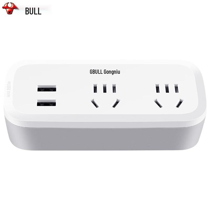 Bull Compact USB Wall Charger with 2 AC Outlets & 2 USB Ports CN plug (adapter included)