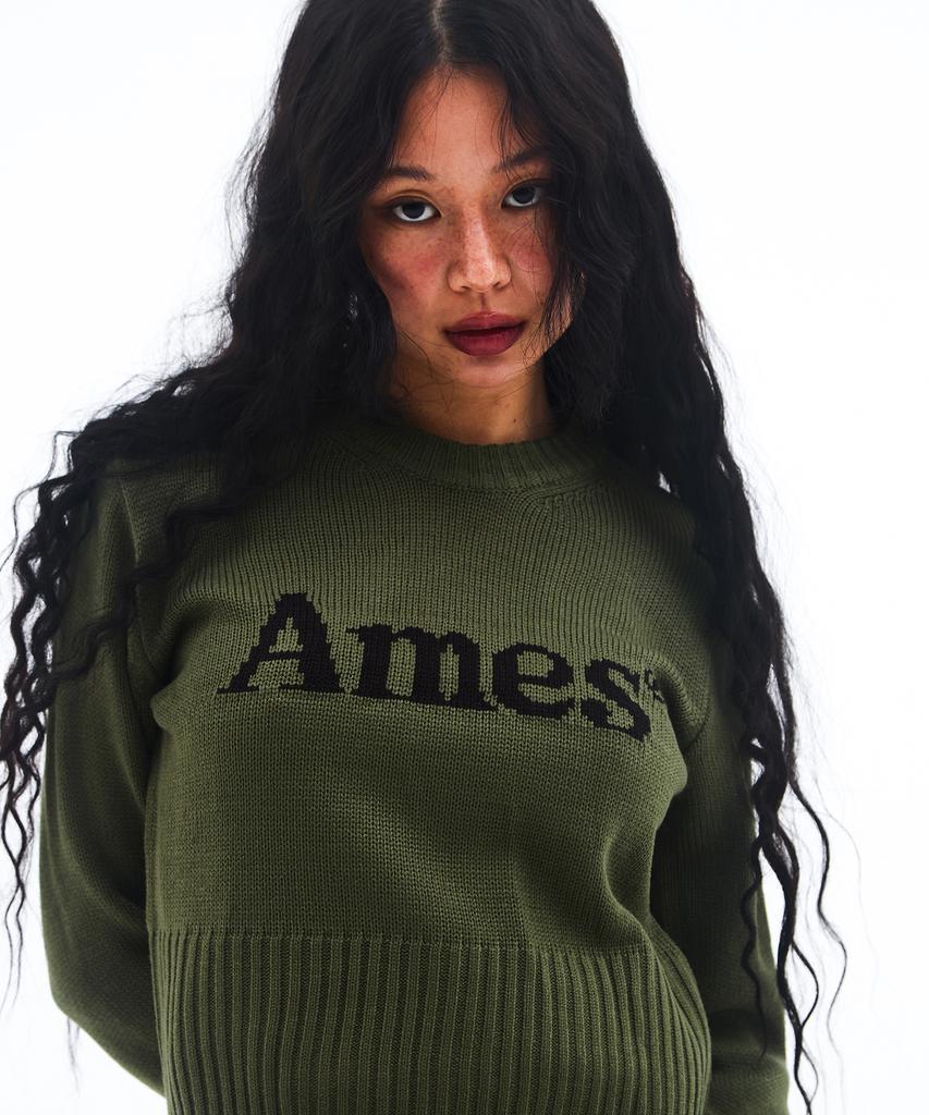 AMES-WORLDWIDE Basic Pullover Knit Khaki