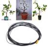 1 рулон, 5 м, проволока для бонсай, гибкая, многоразовая, нержавеющая, гибкая, удобная для хранения, форма растения, 6 размеров, тренировочная ветка бонсай, черная проволока для балкона