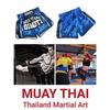 Blue Camouflage Muay Thai Kickboxing Boxing MMA UFC Casual Shorts Gym Sport Unisex Men Women Workout Quick Dry Print Elastic High Waist Training