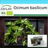 Gift Set - Organic - Basil Thai - 250 Seeds - With Gift Box, Card, Label and Potting Substrate - Ocimum Basilicum