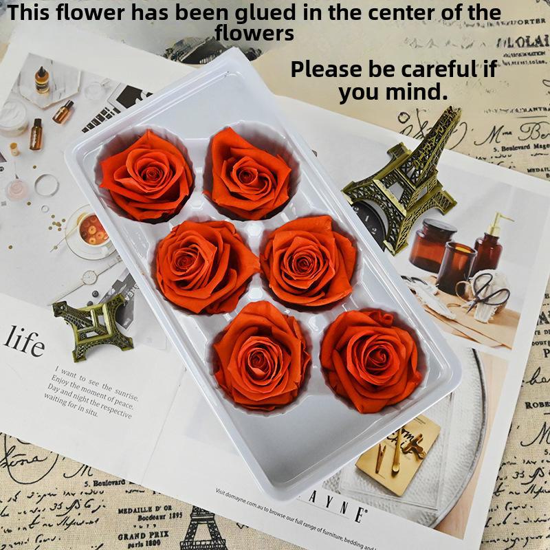 Набор для самостоятельного изготовления цветка «Фантазия»: Букет из роз класса C для Дня святого Валентина, Циси или празднования дня рождения.