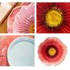 Household Ceramic Flower Plate Light Luxury Decorative Bowl Pastry Dish Soup Bowls  Western Food