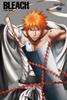 BLEACH Soul Society Спасение Выпуск 1 (Обычное издание) [DVD]