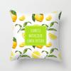 Home Decor Yellow Lemon Pattern Summer Cushion Cover Pillow Sofa Decorative