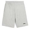 Puma Ess 2 Color No. 1 Logo 10'' Shorts