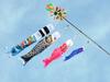 Hidemitsu Doll Studio Mini Size Carp Streamer Hiryuko Full Set with Installation Hardware ZC6051A 1.1m