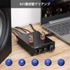 TPA3116D2 100 Вт усилитель сабвуфера класса D HiFi моно цифровой высокомощный аудиоусилитель AMP домашний кинотеатр DC12-24V (TPA3116D2, черный)
