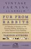 Книга Fur from Rabbits - A Collection of Articles On Pelt Dressing, Killing, Marketing and Other Aspects of Fur Farming