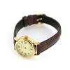 CASIO Standard Quartz Ladies Watch LTP-V002GL-9B