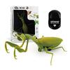 Infrared RC Praying Mantis Remote Control Insect with Test Battery Included, Top Ace