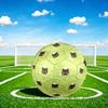1pc Cat Flowers Size 5 Soccer Ball Professional Match Training Football Indoor &Outdoor Sports Ball Lightweight Durable c65105