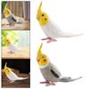 Simulation Parrot Figurine Bird Animal Sculpture for Micro Landscape DIY Landscaping Bath Toys Party Favors Cake Toppers