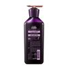 Ryo Purple Line Hair Strengthening Shampoo & Conditioner Set