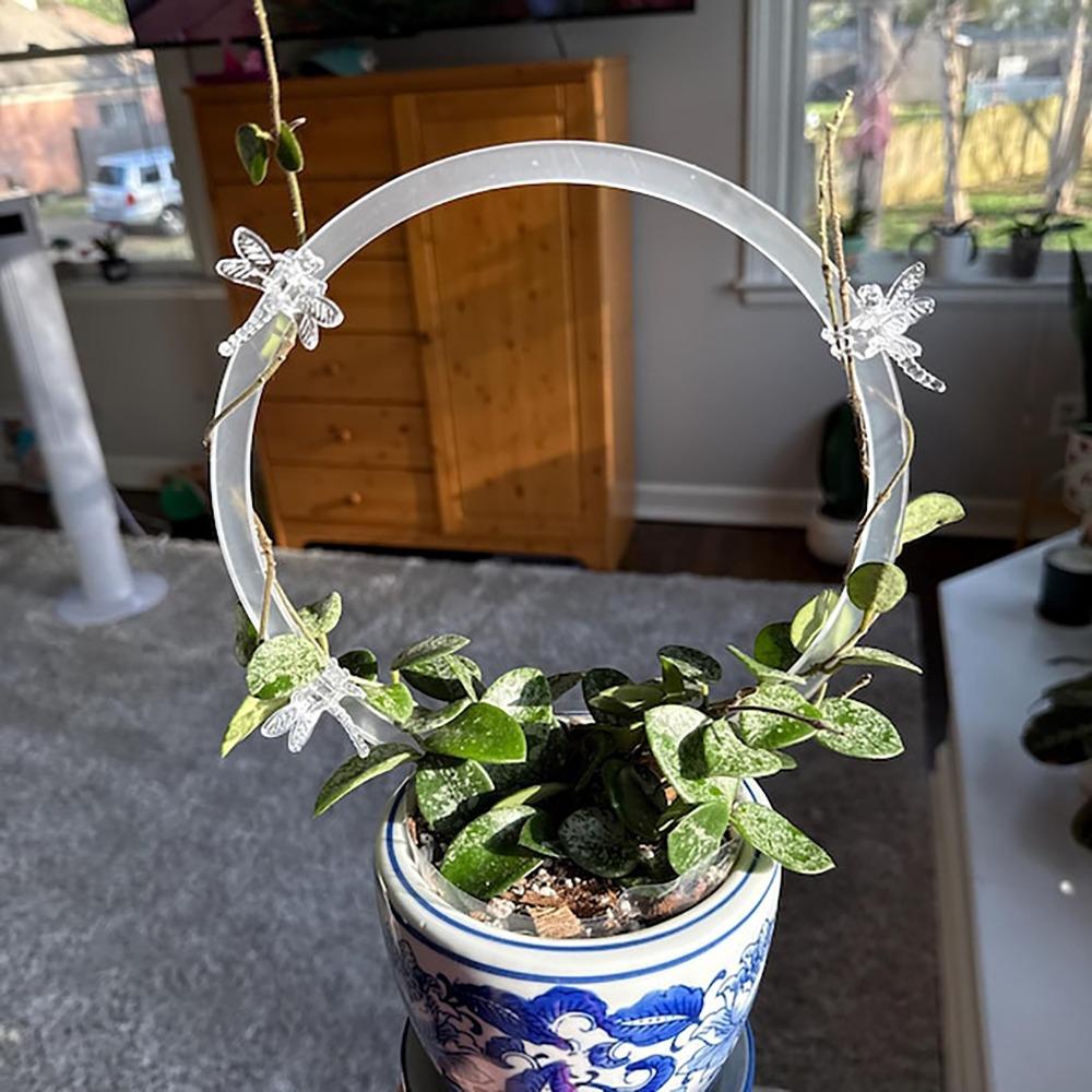 1pcs New Transparent Plant Trellis Plastic Round Plant Support Frame Plant Accessoriess Decoration