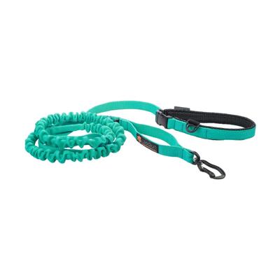 JoQu® Ultra Strong Runners Leash for Small and Medium Dogs with Shock Absorber, Mint