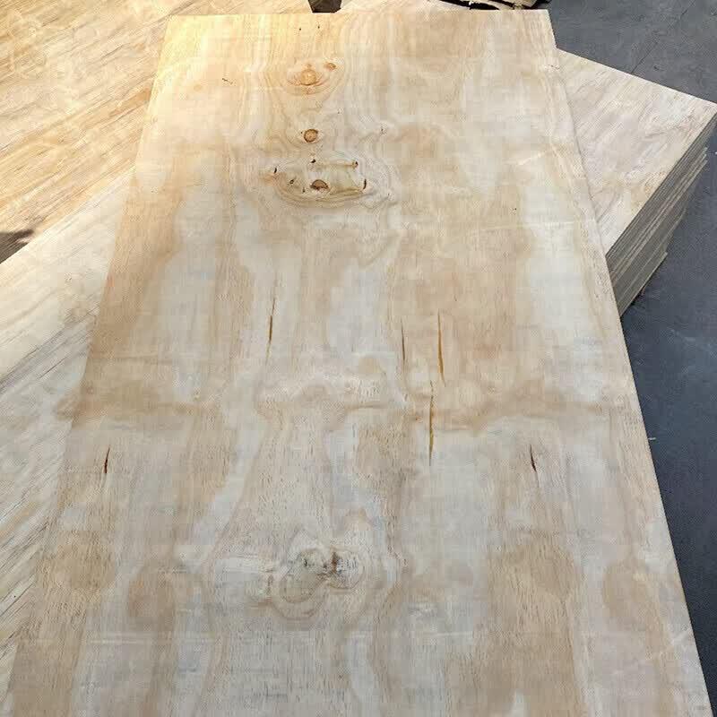 Shili Camp Bed Board