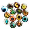 20pcs/10pairs 6mm-20mm Puppet Crystal Eyes Crystal Glitter Crystal Eyes  DIY Doll Accessories