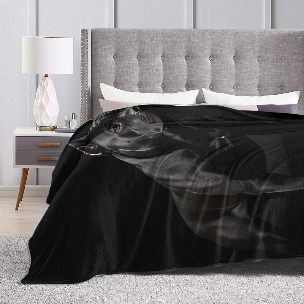 Cane Corso Super Soft Blanket Picnic Plush Throw Blanket Aesthetic Living Room Flannel Bedspread Sofa Bed Cover