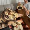 Кавайный котенок винтажный милый смешной кот мягкое теплое плюшевое одеяло общежитие диван гостиная питомец дом спальня подарок дремота дом Фланель