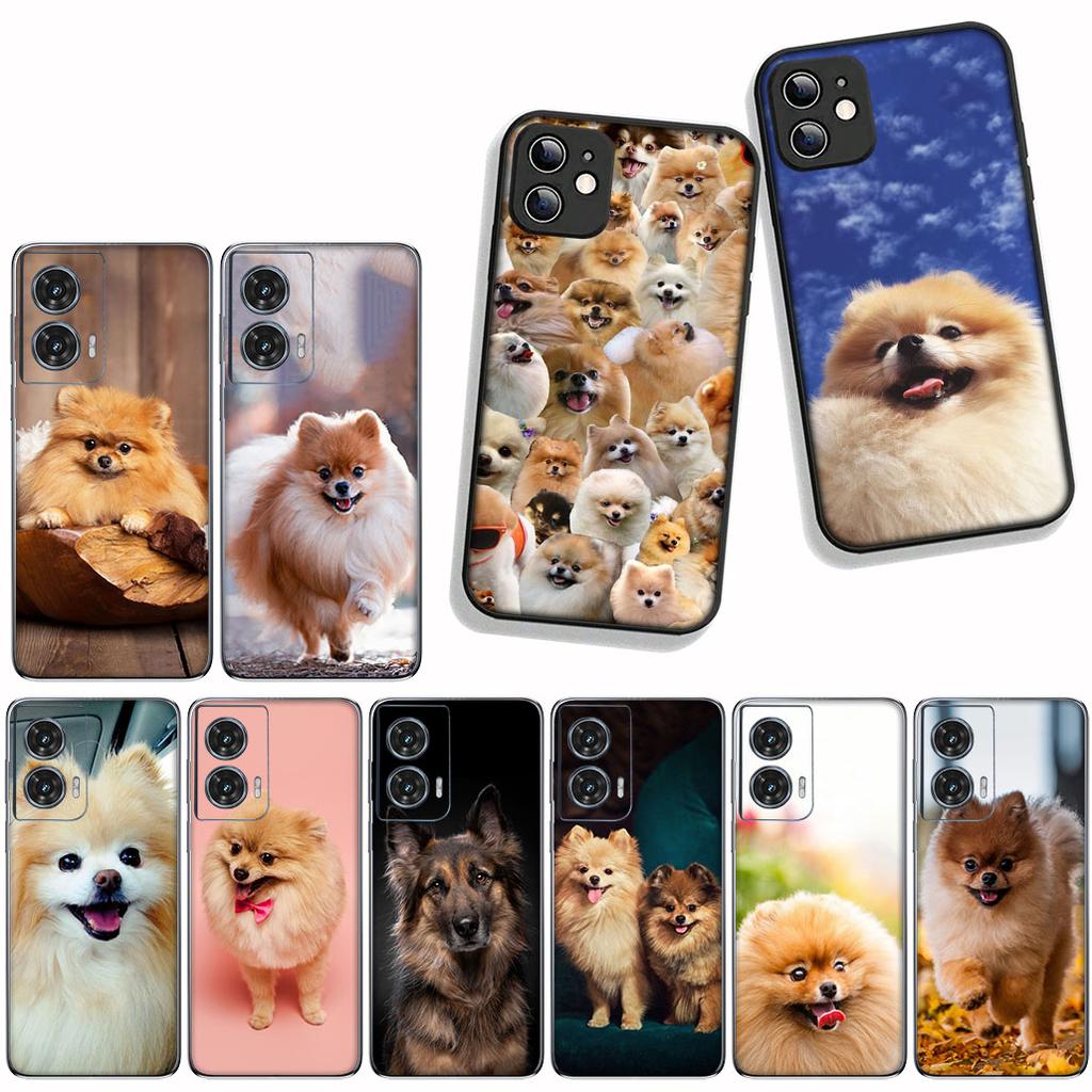 Funda Coque Cover for Apple iPhone 15 14 16 Plus XS 13 11 12 Pro Max XR X 16E ProMax Phone Case Pomeranian Dog