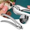 Grainy Shellfish Scallop Clamp Curved Handle Shell Opener Seafood Tools Walnut Clip Lobster
