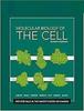 МОЛЕКУЛЯРНАЯ БИОЛОГИЯ КЛЕТКИ Твердый переплет IND-434