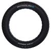 Шина Schwalbe Jumbo Jim Evolution ADDIX Tubeless 26'' x 4.00 MTB