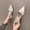 Internet Celebrity French Pointed Flat Bag Shoes Girl 2025 Spring and Autumn New Versatile Light Mouth Fairy Wind Gentle with Skirt