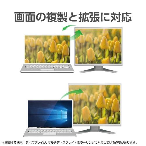 Elecom Conversion Cable USBC DisplayPort 1.0m Black CAC-CDP10BK