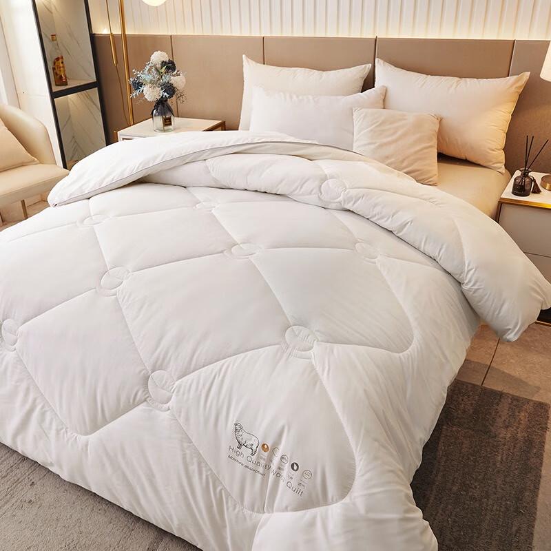 Jieliya Australian Wool Winter Comforter