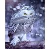 DIY Owl 5D Diamond Painting Animal Diamont Embroidery Mosaic Cross Stitch Full Round Drill Resin Home Decor Manual Gift