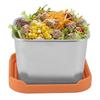 6 PCS Orange Pink Silver Mini Snack Container 180ml Capacity Sauce Cup  Picnic Travel