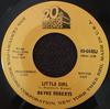 7-дюймовая пластинка WAYNE ROBERTS Little Girl One Piece Bathing Sui 45644DJPROMO 20th Century Fo US Rock Б/у
