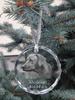 Rhodesian Ridgeback, African Lionhound - crystal bauble with a photo, dog photo in crystal, personalized Christmas tree ornament by Art-Dog brand