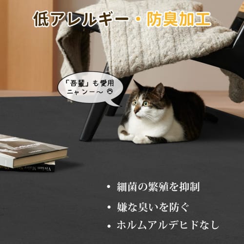 SOMANT Rug, 1.5 Tatami Mats, Summer Rug, Non-Slip, Soundproof, Thick, Dust Mite Resistant, Odor Resistant, Skin-Friendly, Stylish, Scandinavian Style,