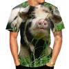3D Printed Animal Pig Graphic T Shirts For Men Funny Piggy Round Neck Short Sleeve Tee Tops Loose Oversized Men T Shirt