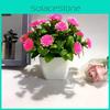 Fake Miniature Daisy Plant Decor With Plastic Craftsmanship For Living Spaces